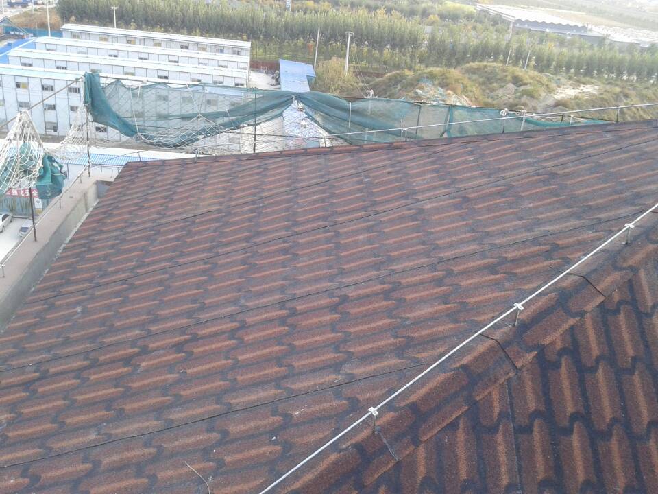 城建十六